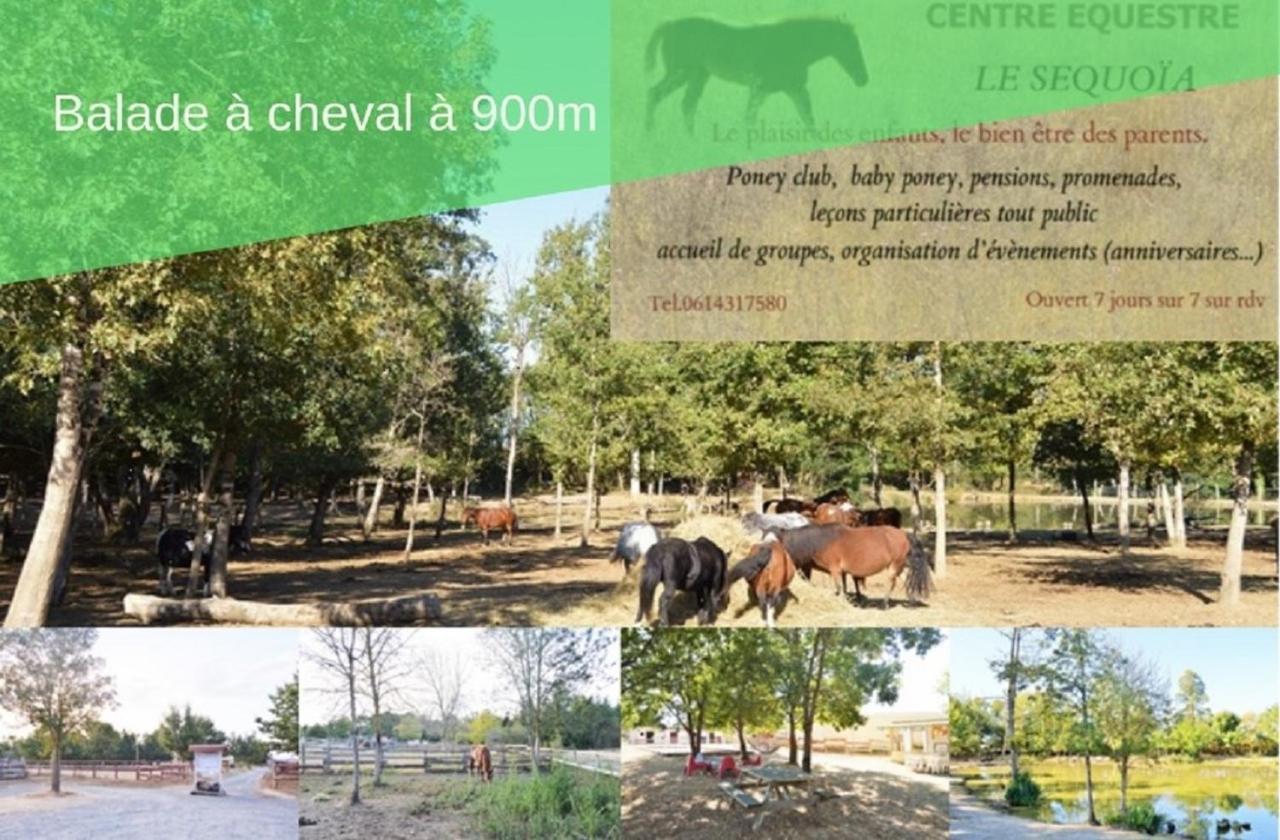 Le Grand Cottage Nature Piscine Chauffee Privee Du Tarn Entre Toulouse Et Albi & Les Cottages Du Tarn Peyrole Εξωτερικό φωτογραφία